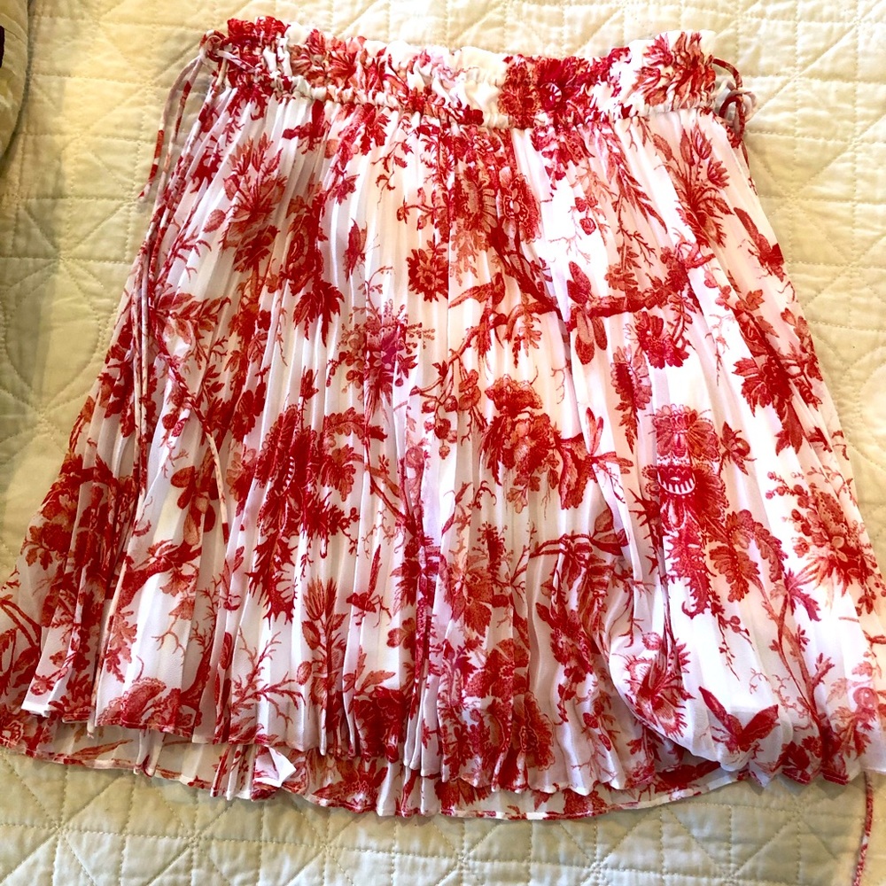Beautiful Toile Pleated Skirt